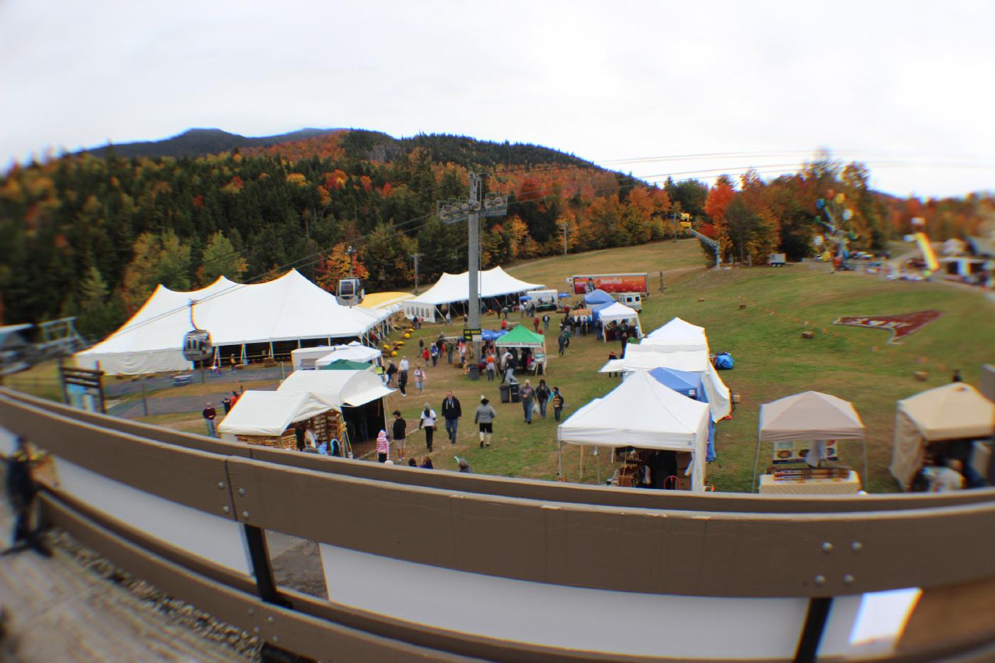 Grounds