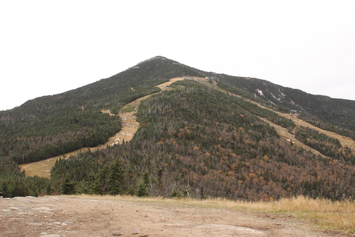 Whiteface