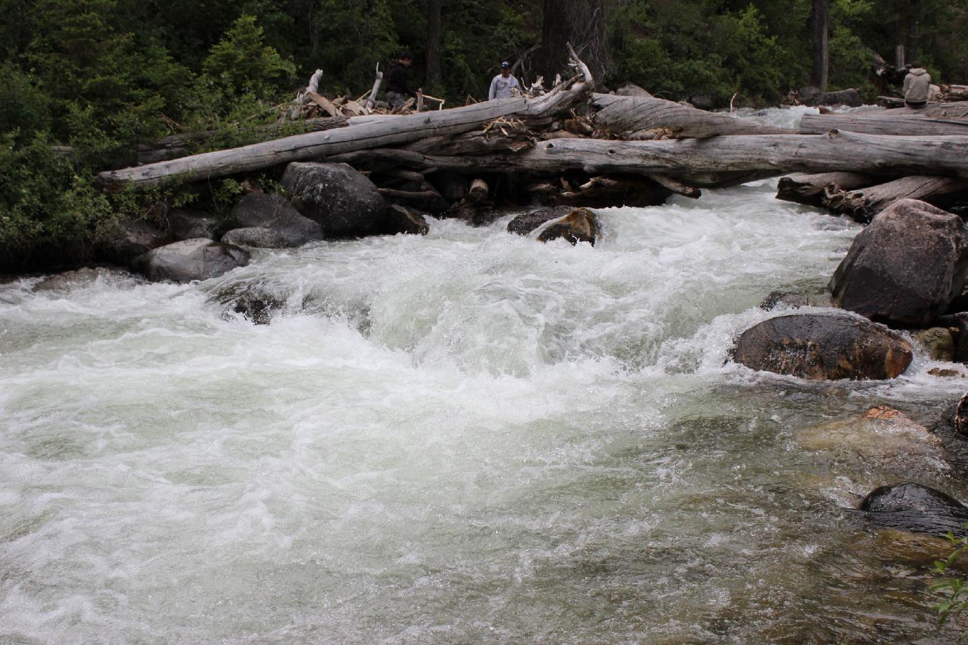 Nature in the Rockies
