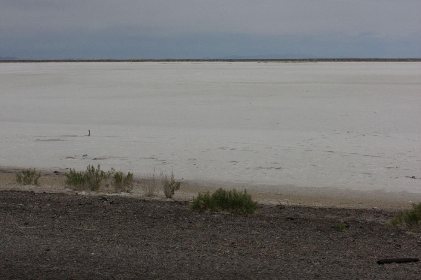 Salt flats in Nevada
