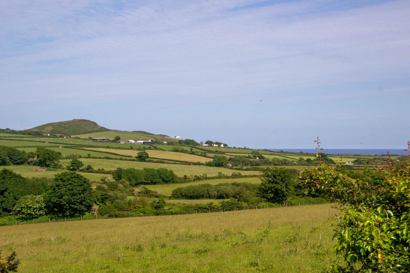 Countryside farms