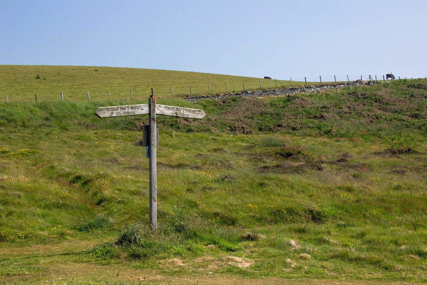 Trail signage
